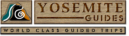 Yosemite Guides Logo